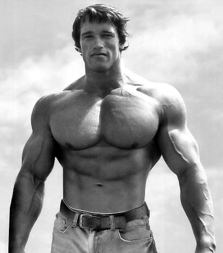 arnold schwarzenegger greatest bodybuilder of all time