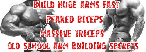build huge arms