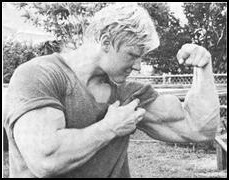 dave draper arm workout