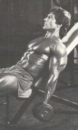 frank zane arm workout