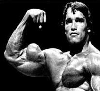 arnold schwarzenegger arm workout